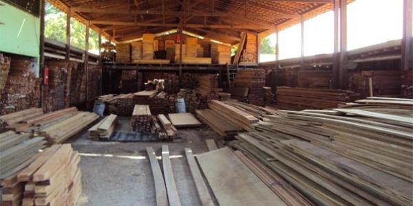 Ap&oacute;s a venda dos cr&eacute;ditos para a regi&atilde;o amaz&ocirc;nica, a madeira armazenada no Piau&iacute;, que era vendida ao consumidor final, sem controle, ficou descoberta no sistema federal de com&eacute;rico(Imagem:Ibama/Divulga&ccedil;&atilde;o)