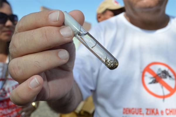 FMS confirma duas mortes causadas pela Chikungunya em Teresina