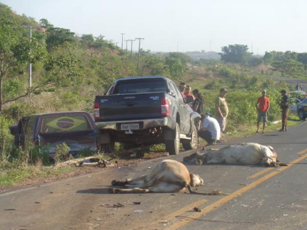 Animais invadem pista e causam acidente na BR-343 em Floriano