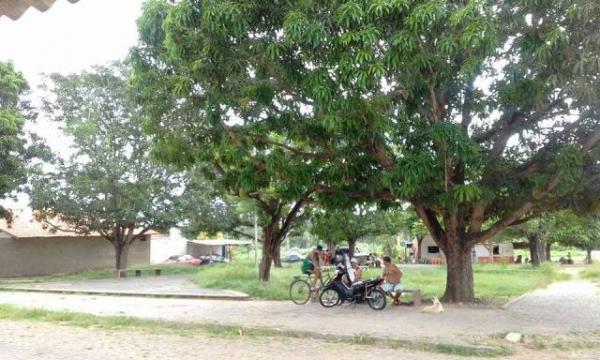 Passageiros de ônibus de turismo são assaltados em Floriano