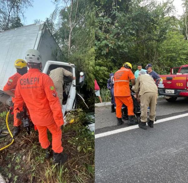 Caminhoneiro fica preso às ferragens de caminhão ao bater contra árvore na BR-343