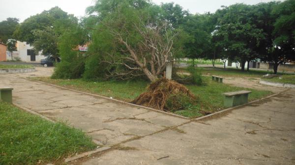 Forte ventania arrancou &aacute;rvores e placas em Floriano.(Imagem:FlorianoNews)