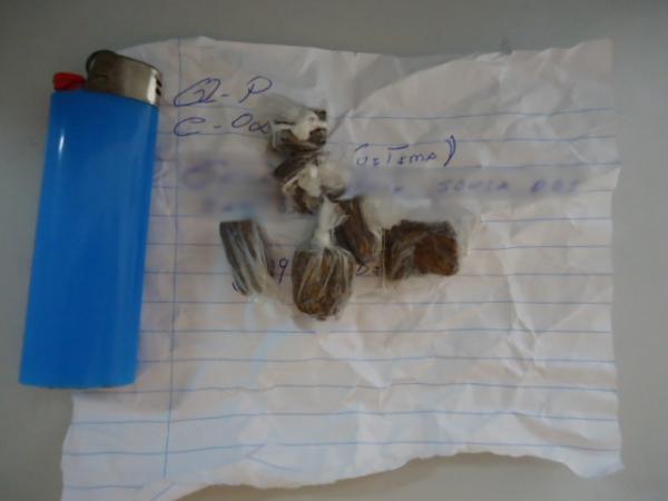 Menor é apreendido por porte de entorpecentes em Floriano