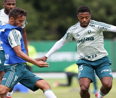 Chance de título do Palmeiras aumenta para 81,1% com empate do Inter, diz site