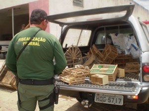 Ibama não têm onde abrigar animais apreendidos e resgatados no Piauí