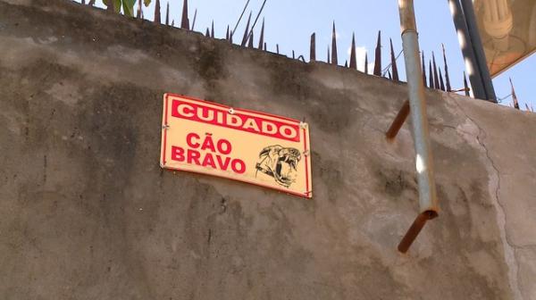 Cachorro que atacou e matou bebê em Teresina foi morto a tiros; polícia vai investigar
