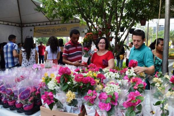 II Festival de Flores de Holambra é realizado em Floriano