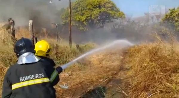 Inc&ecirc;ndio em vegeta&ccedil;&atilde;o atinge acostamento da BR-230 no Sul do Piau&iacute; e preocupa condutores.(Imagem:Reprodu&ccedil;&atilde;o)
