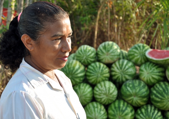 Mulheres do campo terão mais assistência do governo