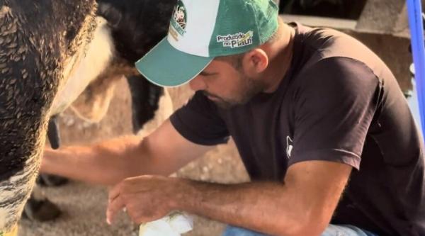 Investimentos na produção de leite aumentam renda de agricultores familiares