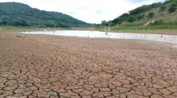 Seca no PI: Governo Federal reconhece emergência em mais cinco cidades; Decreto estadual tem 119 mun