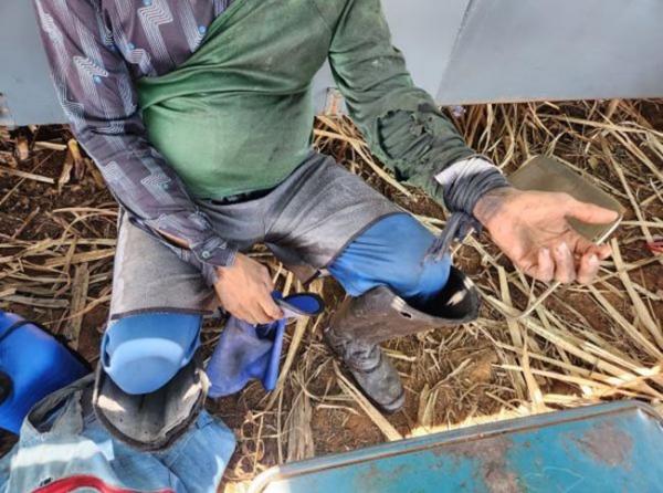 Força-tarefa resgata piauienses de trabalho análogo à escravidão em usina no interior de Goiás