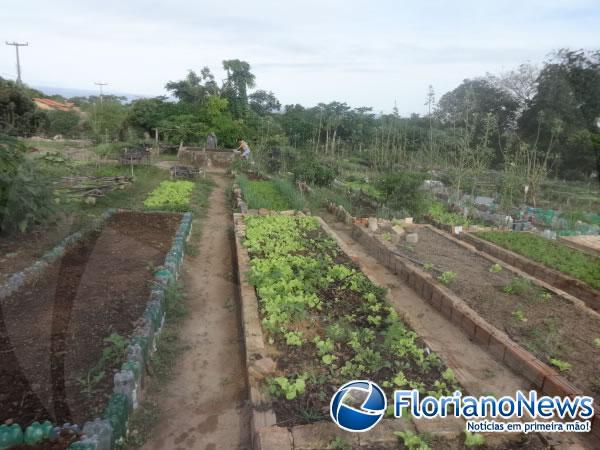 Horticultores cobram provid&ecirc;ncias para o problema da bomba na horta do bairro Alto da Cruz.(Imagem:FlorianoNews)