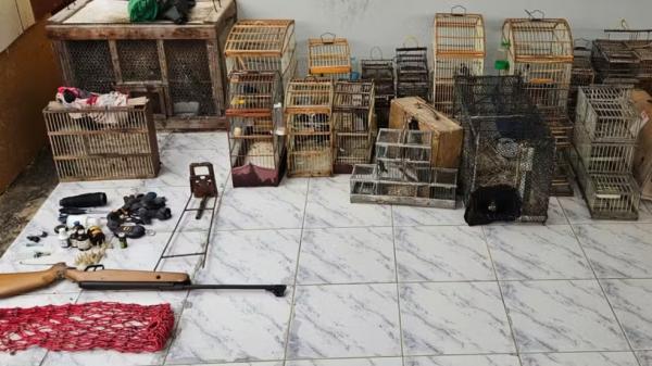 Homem é preso por maus-tratos a animais e mais de 30 galos são resgatados de rinha no Sul do Piauí