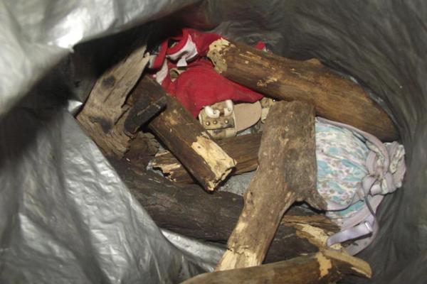 Jovem &eacute; encontrada morta em matagal no munic&iacute;pio de Arraial.(Imagem:FlorianoNews)