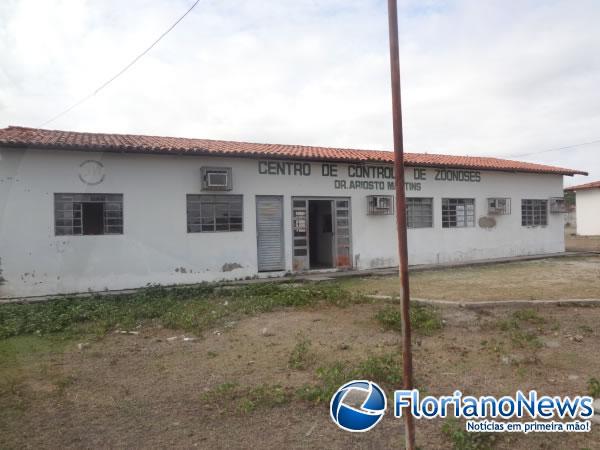 Estrutura do Centro de Controle de Zoonoses de Floriano &eacute; prec&aacute;ria.(Imagem:FlorianoNews)