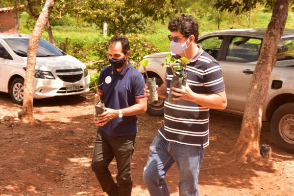 Projeto de incentivo à fruticultura beneficia famílias da zona rural de Floriano