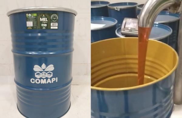 Governo realiza estudo de novos mercados e fará contatos com outros países para exportação do mel piauiense após tarifaço dos EUA(Imagem:Comapi)