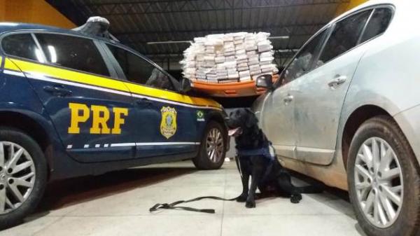 PRF prende motorista por tr&aacute;fico de drogas em Floriano.(Imagem:PRF)
