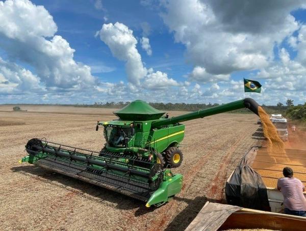 Piauí atinge em maio o maior montante em exportações registrado em 2024