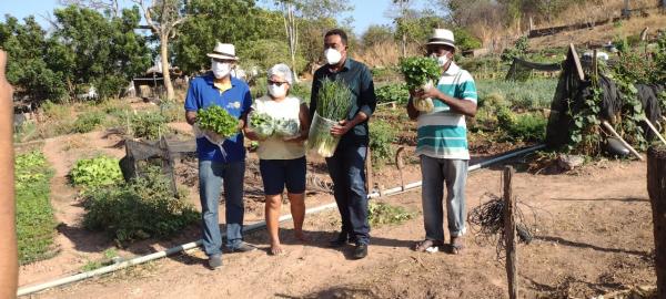 Parceria entre prefeitura e Rotary Club, contribui com a comercialização de hortaliças
