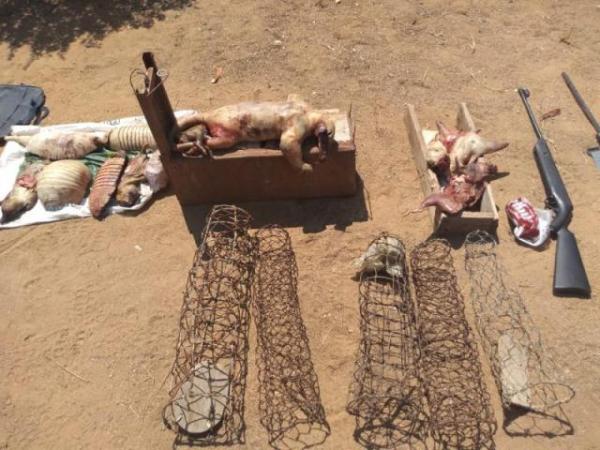 Operação apreende 151 animais silvestres no interior do Piauí