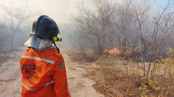 Concurso do Corpo de Bombeiros do Piauí com 56 vagas tem comissão organizadora definida
