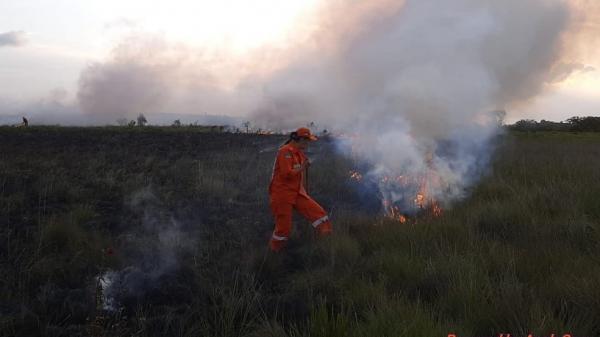 Piauí registra aumento de 44% nas ocorrências de focos de calor em 2021