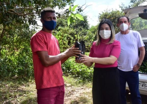 Distribuição de mudas na localidade Bom Sucesso marca Dia do Campo