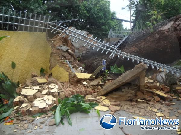 Chuva derruba &aacute;rvore centen&aacute;ria em Floriano.(Imagem:FlorianoNews)