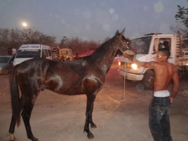 A cidade de Francisco Aires est&aacute; de festejo.(Imagem:FlorianoNews)