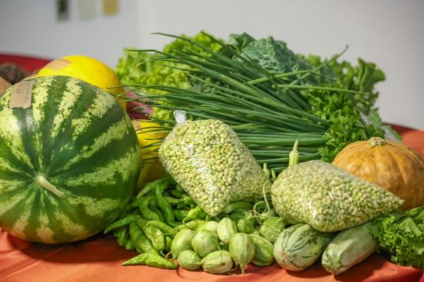 Mais de 50% da merenda servida nas escolas estaduais do Piauí vem da agricultura familiar e beneficia produtores locais(Imagem:Ascom Seduc)