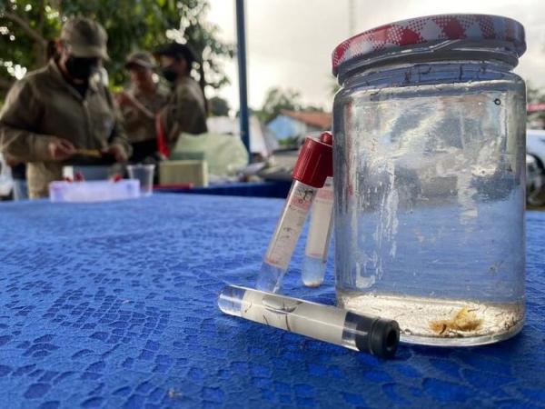 Sesapi encaminha aos 224 municípios do Piauí recomendações sobre controle do mosquito Aedes aegypti