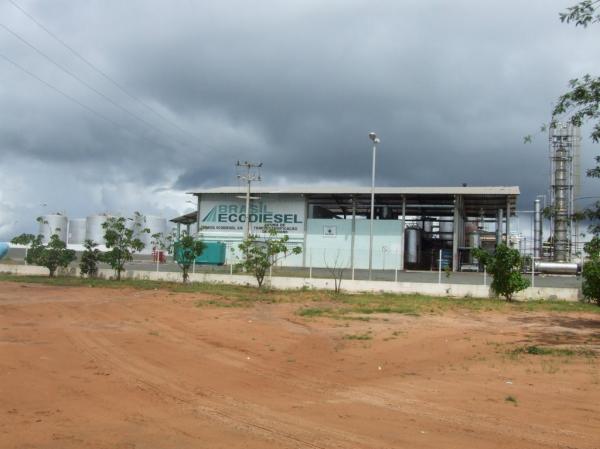 Polícia prende cinco acusados de furto em usina de Biodiesel em Floriano
