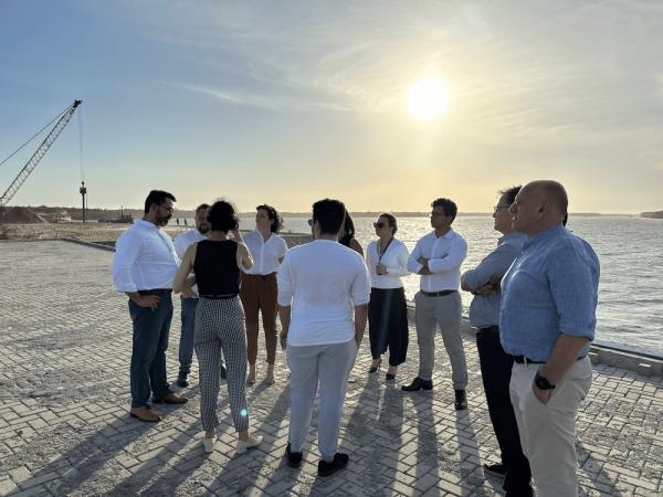 Piauí: um pilar estratégico na transição energética(Imagem:Divulgação)