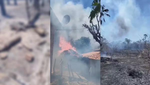 Fogo em área de vegetação mata animais e destrói propriedade no PI