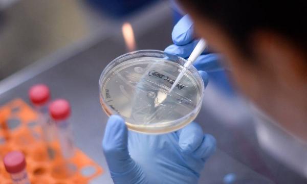 Vacina contra coronavírus testada em humanos gera resposta imunológica e é segura, diz empresa