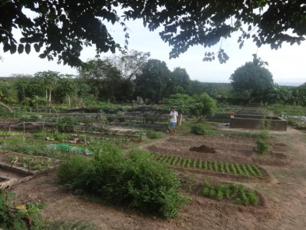Horticultores cobram providências para o problema da bomba na horta do bairro Alto da Cruz