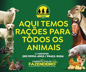 Dr. Leonardo Correia