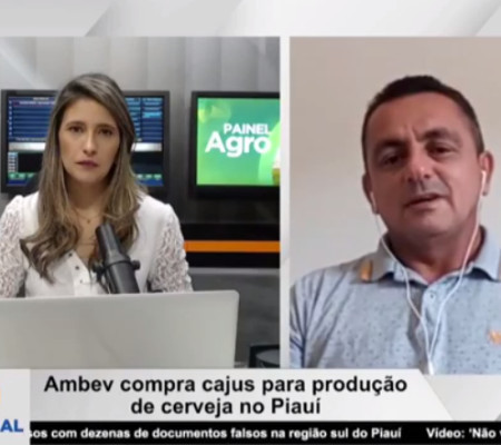 Cerveja de caju estará em breve nas prateleiras piauienses