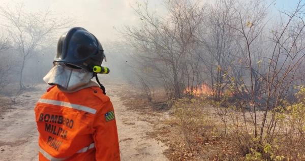Banca divulga gabaritos de provas do concurso do Corpo de Bombeiros do Piauí