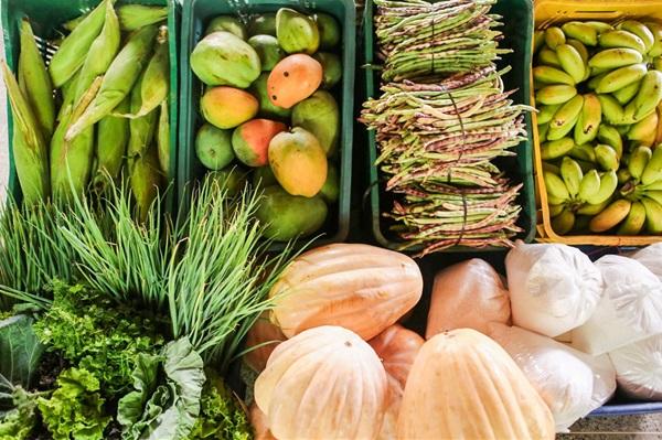 Plano Safra da Agricultura Familiar será lançado nesta segunda (19) no Piauí