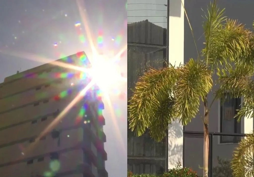 B-R-O Bró: especialistas apontam soluções para reduzir calor em residências no Piauí
