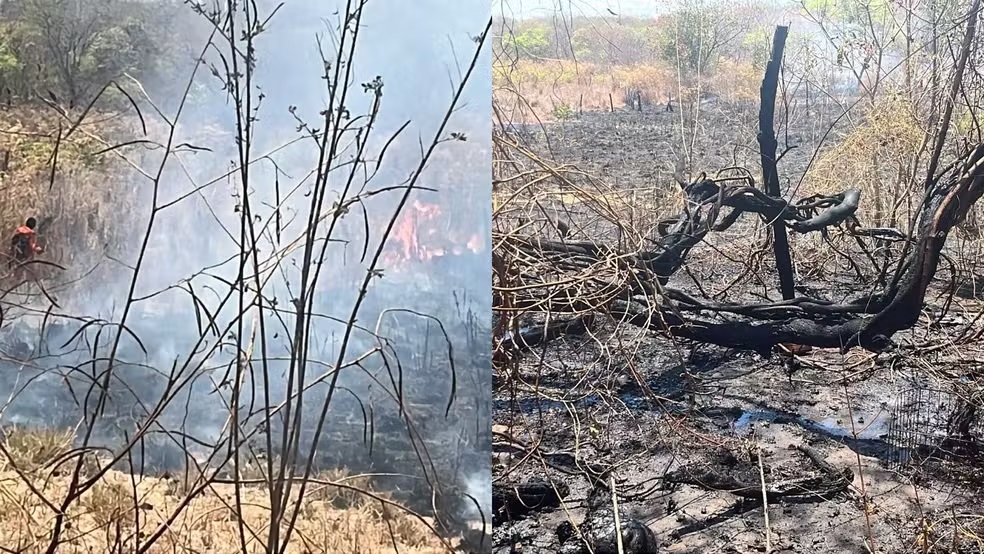 Incêndio atinge vegetação próxima a restaurante às margens da BR-135 no Sul do Piauí
