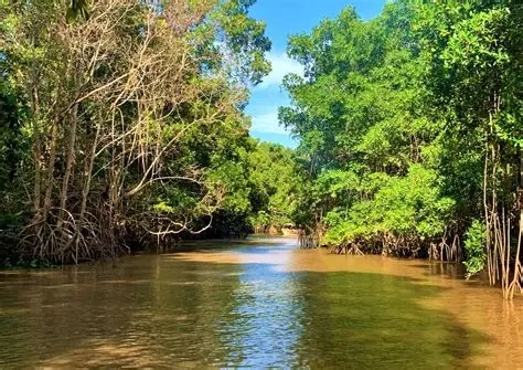 “Viaje com o Sesc” leva você para conhecer o Delta do Parnaíba
