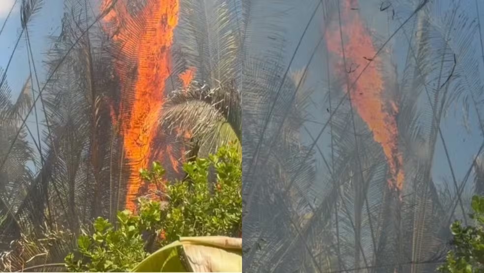 Moradores tentam apagar incêndio que dura mais de 6 horas no PI e cobram ação dos Bombeiros
