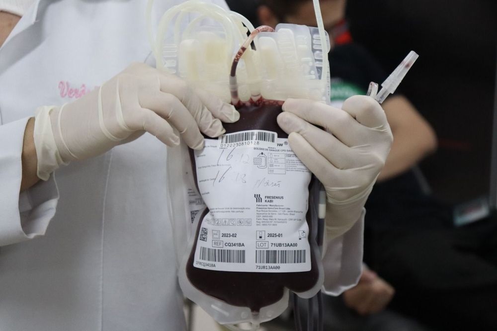 Hemopi registra aumento nas doações de sangue e mantém unidades abertas durante feriado de Finados; saiba como doar
