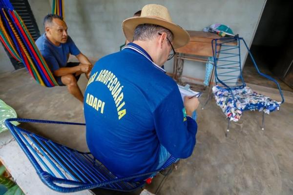 Governo do Piauí decreta emergência zoossanitária por peste suína clássica