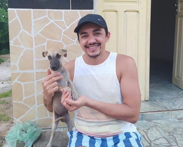 Cadela que dormia em presépio é adotada