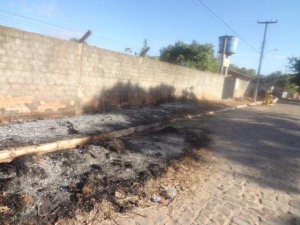 Fogo atinge bananal em Horta de Floriano.(Imagem:FlorianoNews)